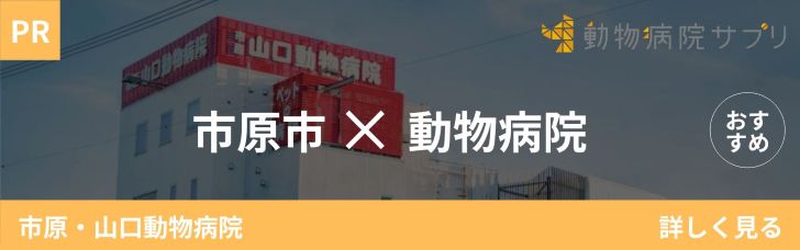 バナー広告