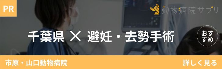 バナー広告